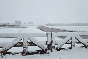 Prachtige foto nabij de groote wetering